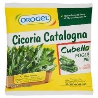 CICORIA CATALOGNA FOGLIAPIU