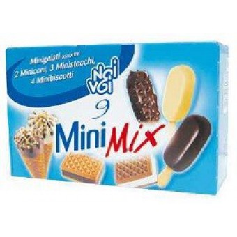 MINIMIX NOI&VOI X9GR 300