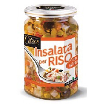 INSALATA PER RISO O. GIRASCITRES GR 520