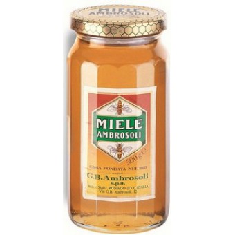 MIELE AMBROSOLI MILLEFIO. VASO GR. 500