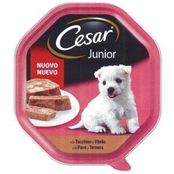 BOCC. CESAR JUNIOR VITELLOE TACCH. GR. 150