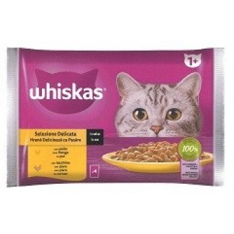 BOCC. WHISKAS CORESELEZ DELICATA BS GR. 85X4