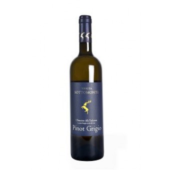 VINO PINOT GRIGIO C. ORIENTALI DOC D