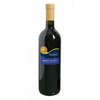 VINO MERLOT VENETO IGT FONTALE C. MORANDO CL 75