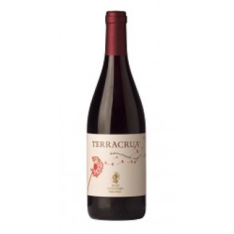 VINO ROSSO TERRACRUA C. BREGANZE CL 75