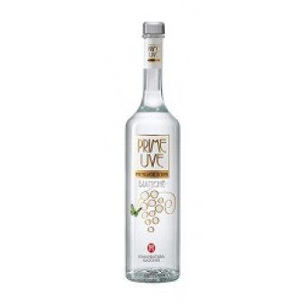 GRAPPA MASCHIO PRIME UVEBIANCHE CL 35  39?